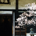 円覚寺