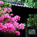 安国論寺