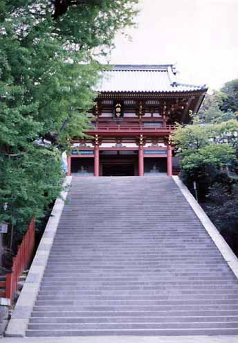 八幡宮と大銀杏(石段左)