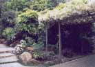 5月上 ツツジ02